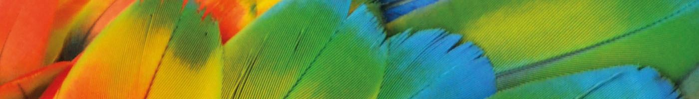Colore acrilico Morocolor